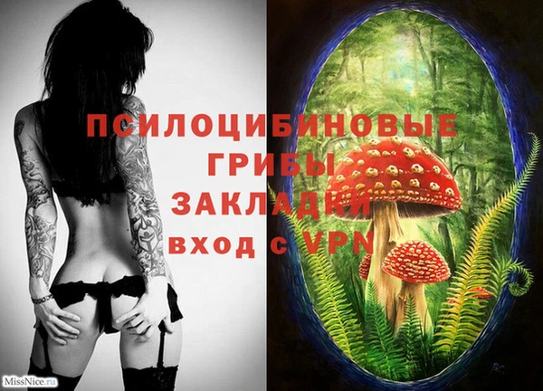 PSILOCYBIN Алексеевка