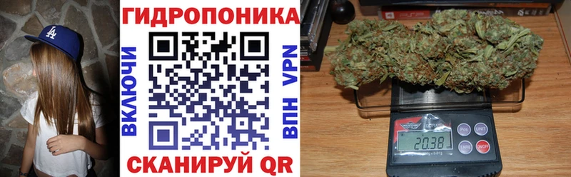 МАРИХУАНА White Widow  продажа наркотиков  mega ТОР  Нарьян-Мар 